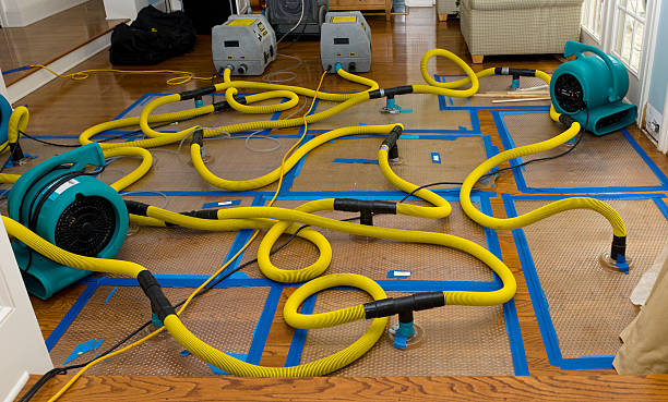 Professional Water Damage Repair technician working in Arley, AL